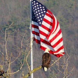 Meet your Posher, Jim